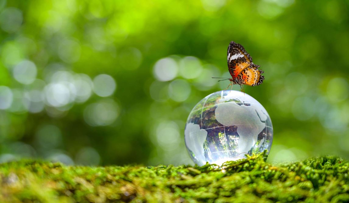 Sustentabilidad en el sector de la construcción: 5 principios