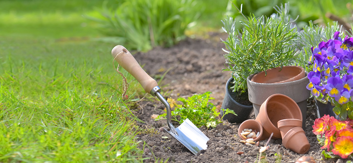 Jardinería y decoración para tu hogar