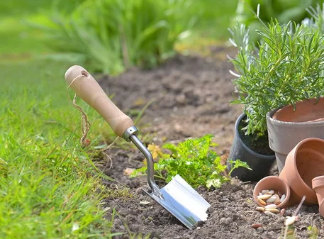 Jardinería y decoración para tu hogar