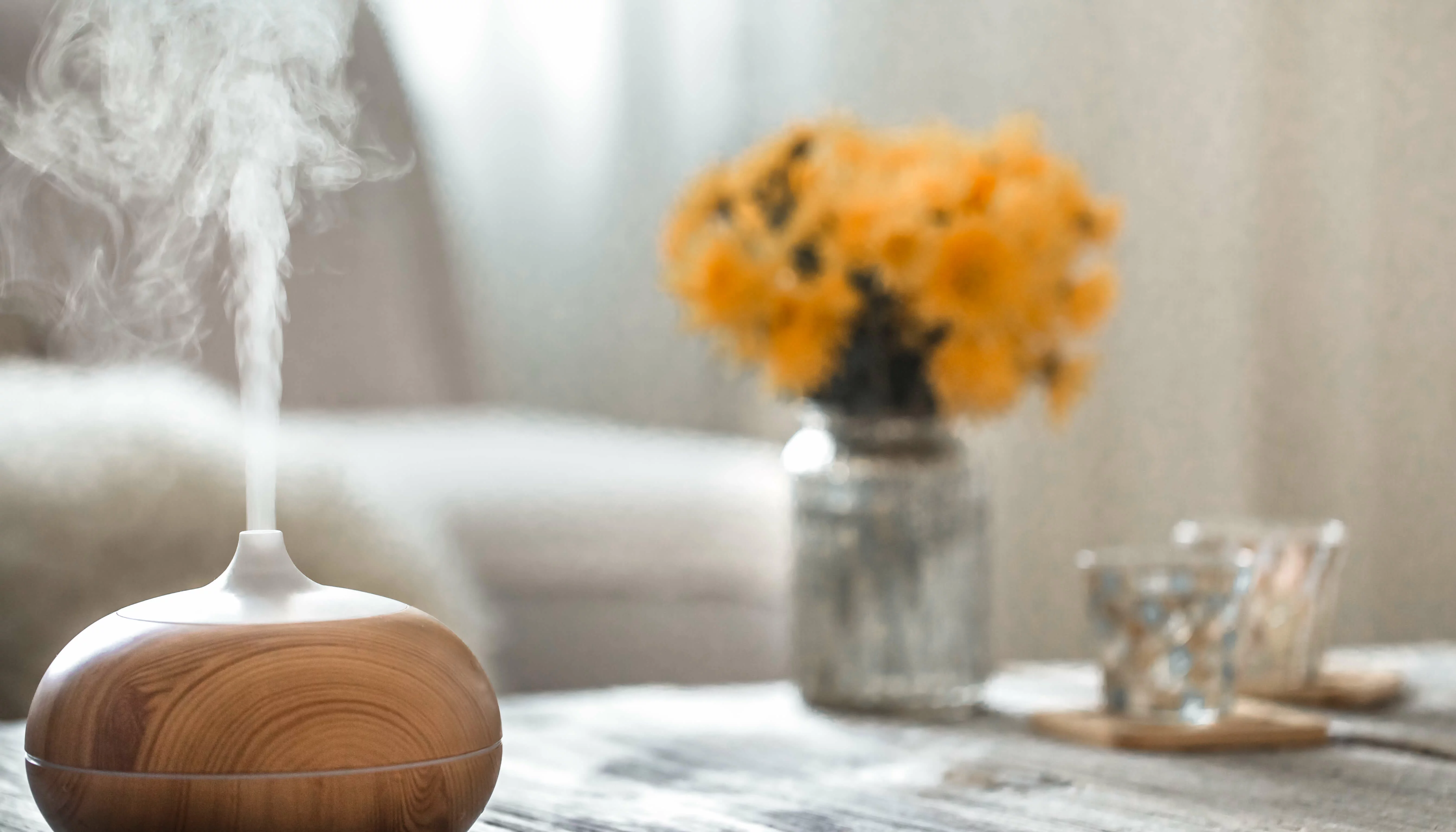 Humidificador: ¿qué es, para qué se usa y qué tipos existen?