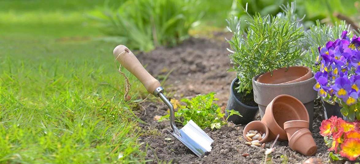 Jardinería y decoración para tu hogar